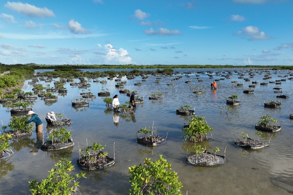 México: TUI Care Foundation lanza proyecto de conservación en Sian Ka'an