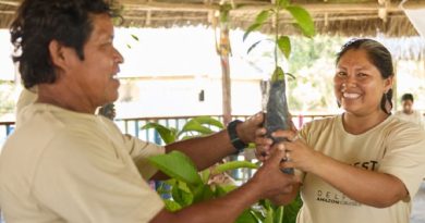 Delfín Amazon Cruises celebra una año de programa BioRest