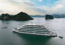 Catherine Cruises define público para cruceros de lujo o económicos por la bahía de Halong