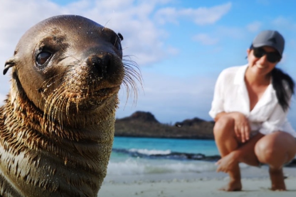 Galaxy Cruises define cómo seleccionar una ruta por Galápagos según la fauna que se quieras ver